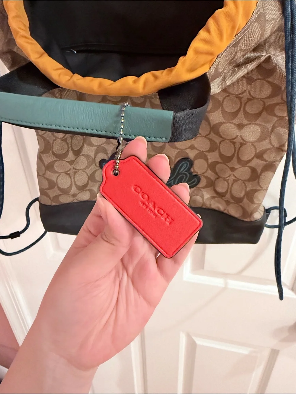 Coach Signature Logo Drawstring Backpack in Brown and Black